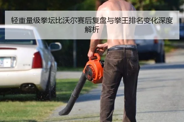 轻重量级拳坛比沃尔赛后复盘与拳王排名变化深度解析