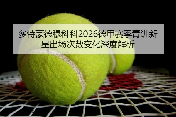 多特蒙德穆科科2026德甲赛季青训新星出场次数变化深度解析